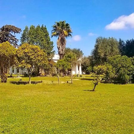 Villa Chorion Corigliano dʼOtranto المظهر الخارجي الصورة