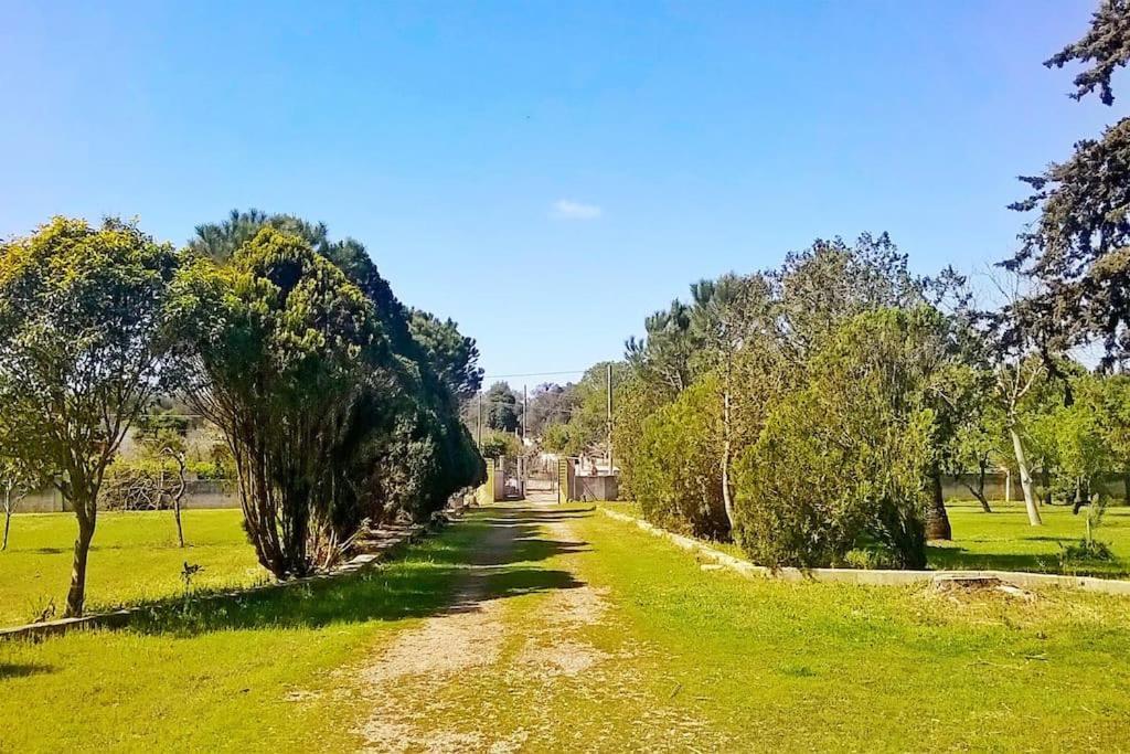 Villa Chorion Corigliano dʼOtranto المظهر الخارجي الصورة